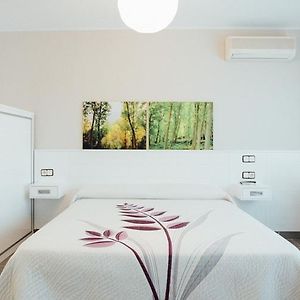 Habitación Básica con Cama King
